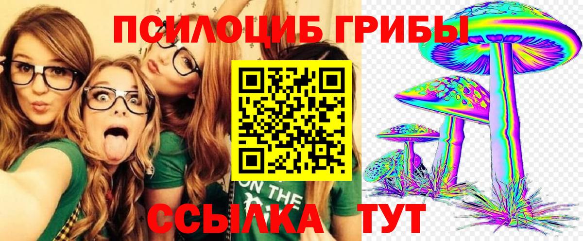 Псилоцибиновые грибы мухоморы  Вход с VPN  Мурино  Псилоцибиновые грибы Psilocybe 
